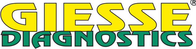 GIESSE