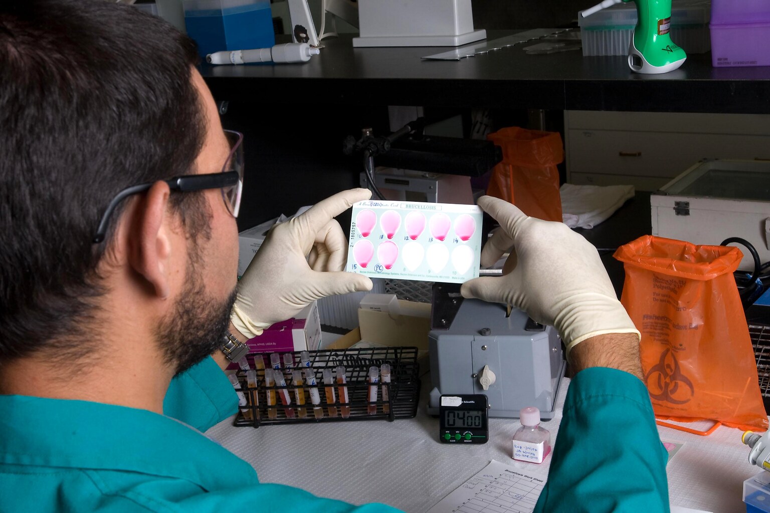 التدريب على الاختبارات المصلية وRT-PCR يعزز جاهزية مختبرات الحمى القلاعية